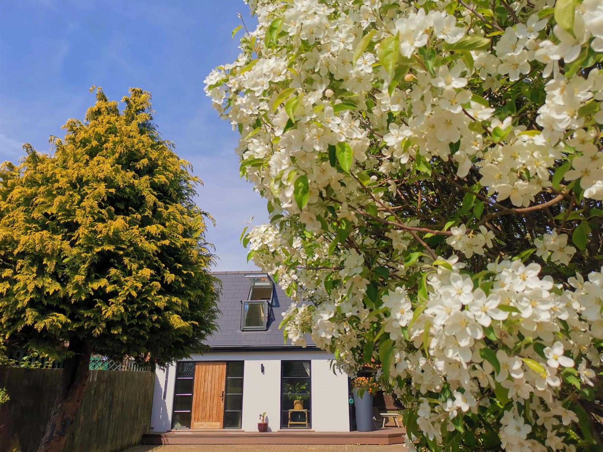 Hastings Casita, 'Little House' Self Contained Garden Lodge, Close To Town And Seafront Exterior photo